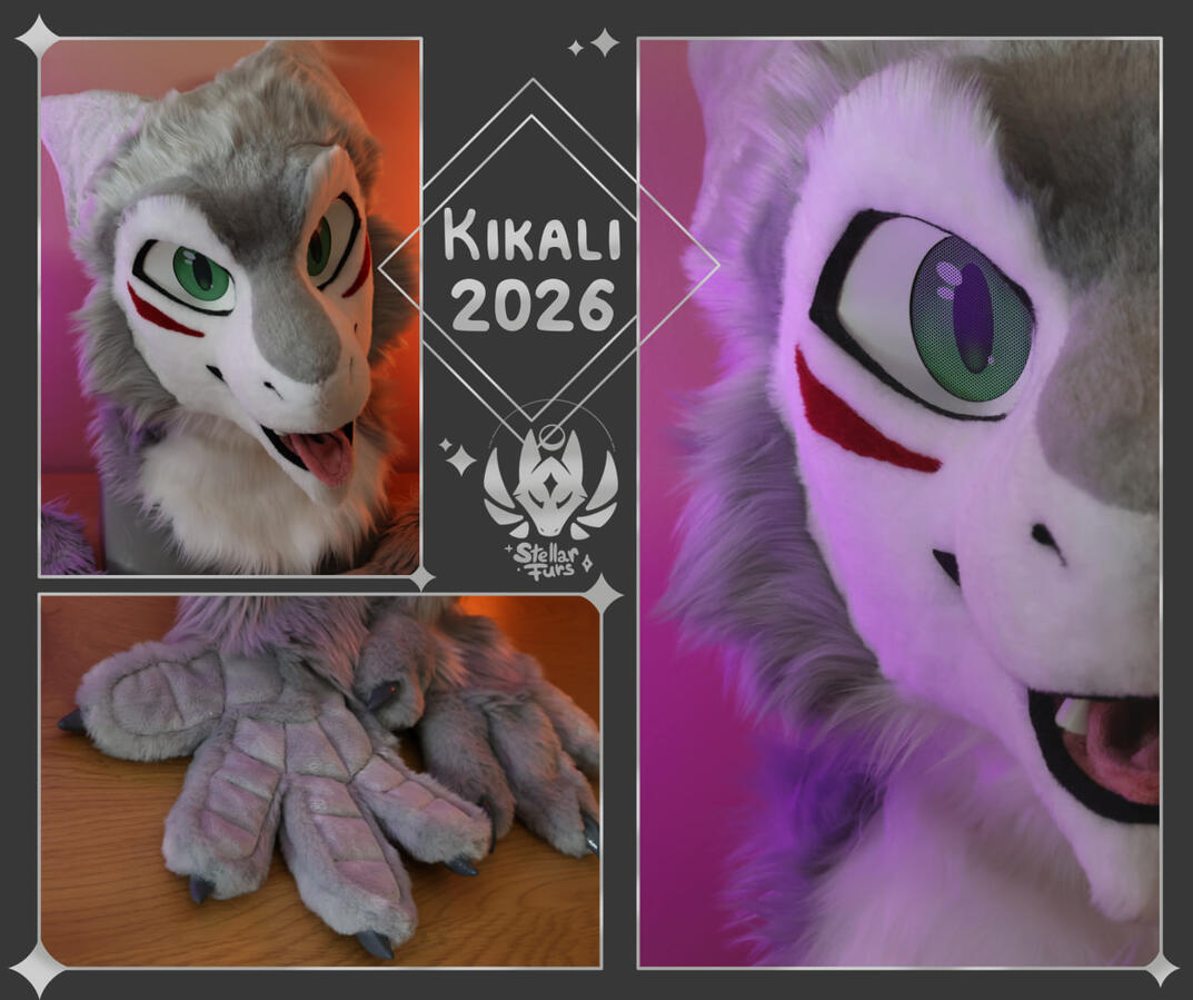 Commission 2026