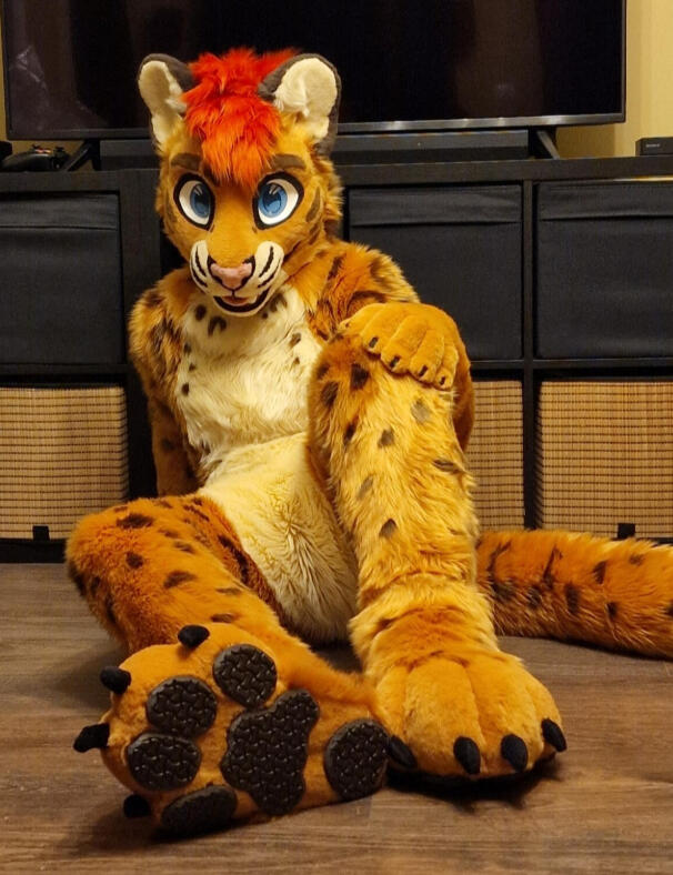 Fullsuit commission 2025